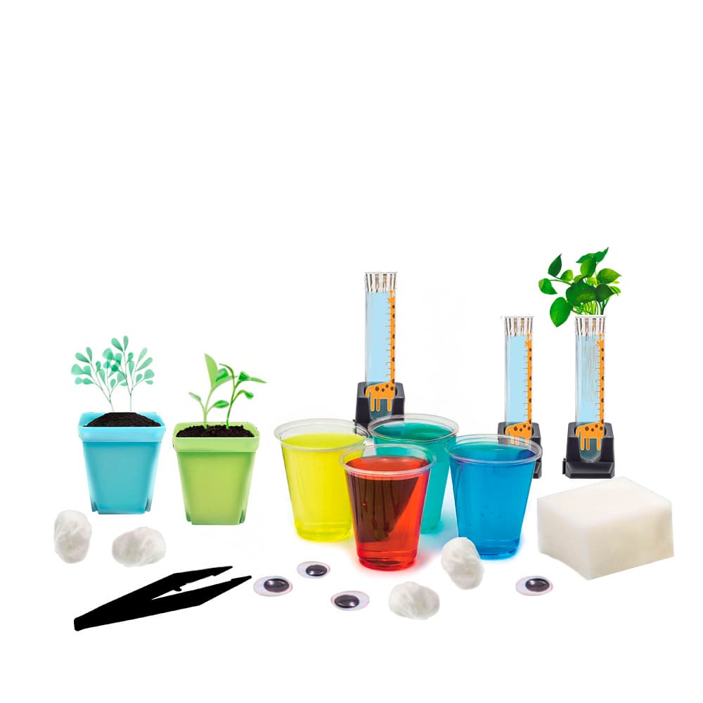 Genius Lab: Nature explorers